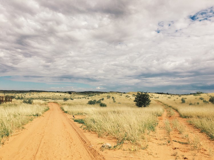 Processed with VSCO with g3 preset