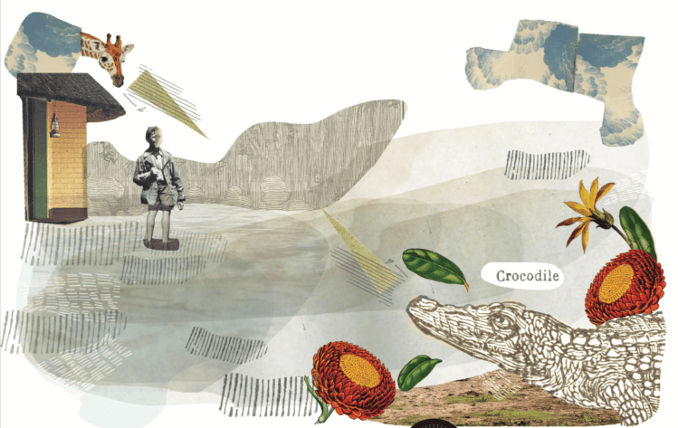 Screenshot 2018-12-14 at 17.02.46