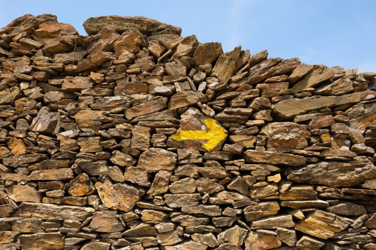 UNADJUSTEDNONRAW_thumb_a80d