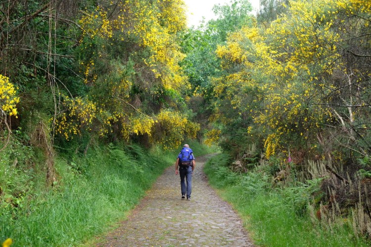 UNADJUSTEDNONRAW_thumb_a81d