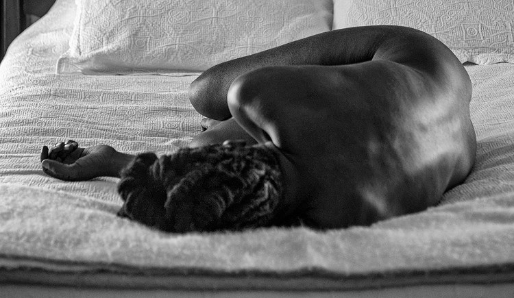 Bona II, Charlottesville, Virginia, 2015