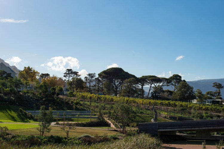 Norval Foundation CGunn_1702 copy