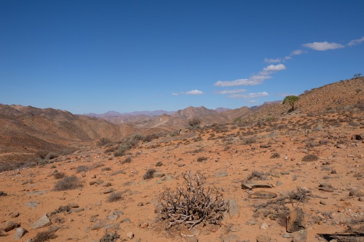 richtersveld 1