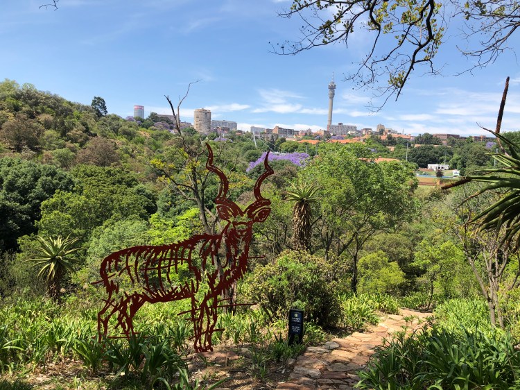 Photo Nov 04, 10 09 24 AM